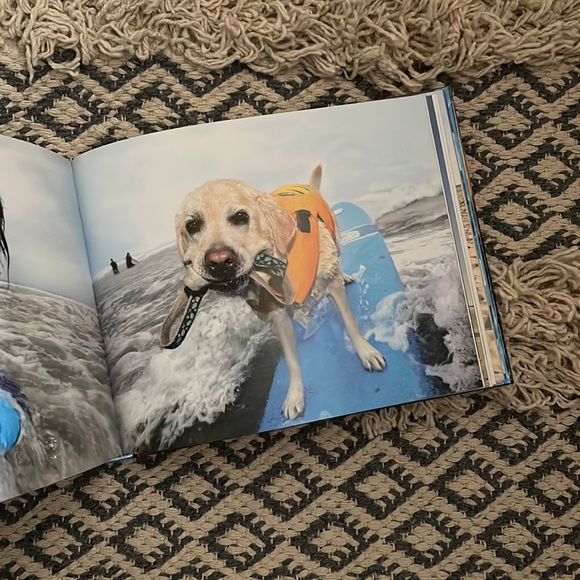 New! Book - Picture 3 of 5